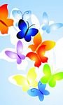 pic for Colorful Butterflies